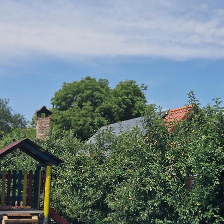 Pensiunea Silba Vad  Exteriér fotografie